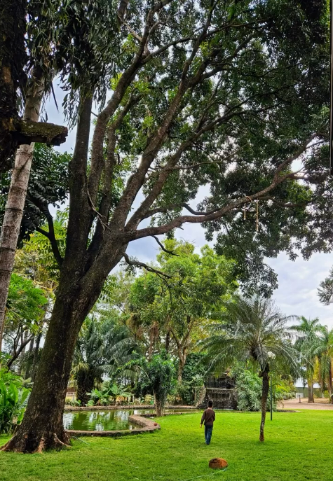 Jardins do Parque das Árvores em Barretos SP