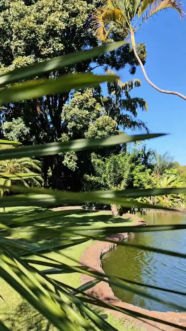 Lago e jardim do Parque das Árvores